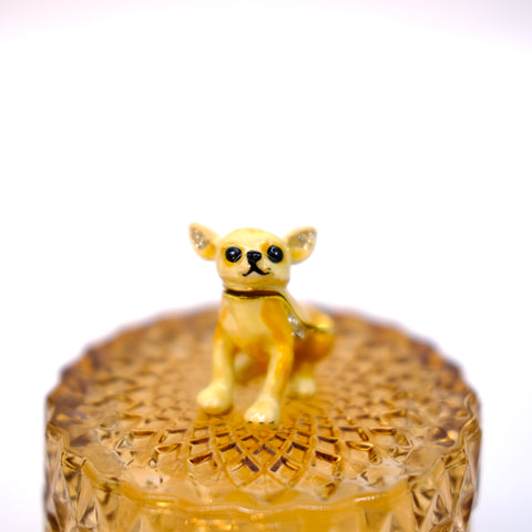 CANDLE: Marigold Chihuahua