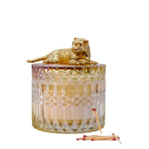 CANDLE: Nala