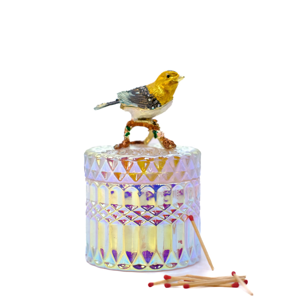 CANDLE: Finch