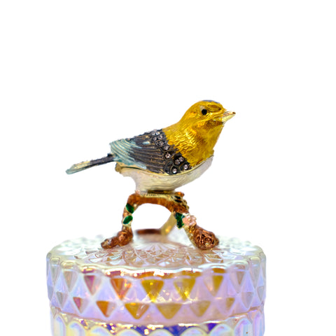 CANDLE: Finch