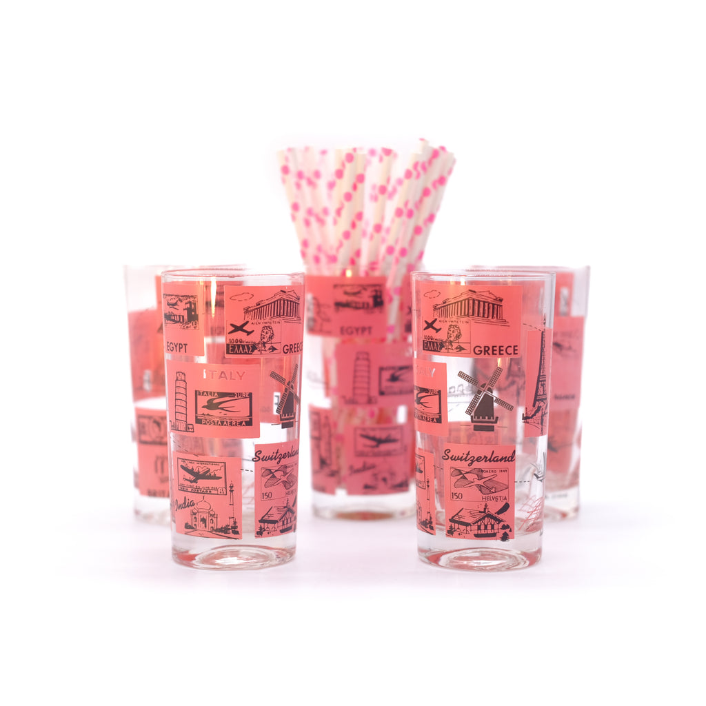 Vintage Pink Travel High Ball Glass Set