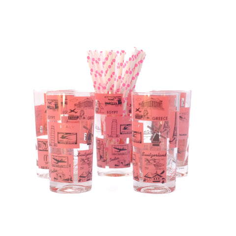 Vintage Pink Travel High Ball Glass Set