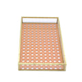 Pastel Orange Mirrored Tray with Gold Rim