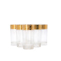 Golden Aura Highball Set (Set of 6)