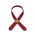 Mini Burgundy Tie
