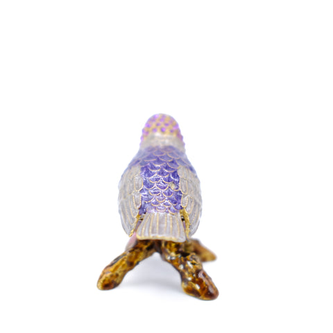 Birdy