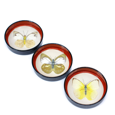 Butterfly Beauty Coasters