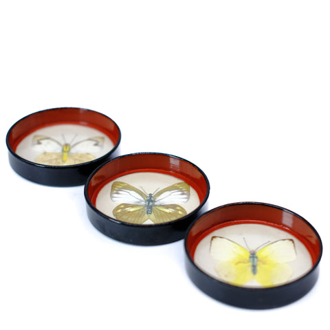 Butterfly Beauty Coasters
