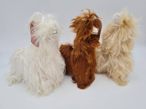 Funky Alpaca Suri