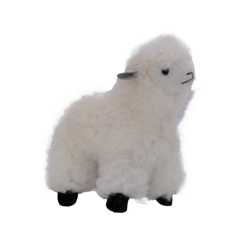 Alpaca Lamb