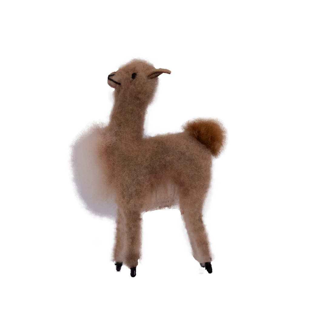Vicuna 8